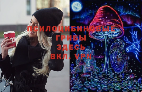 кокс Богородск
