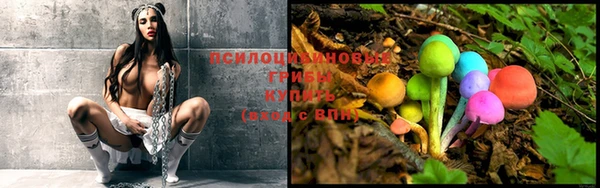бутик Богданович